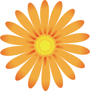 Blomma