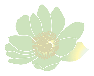 花