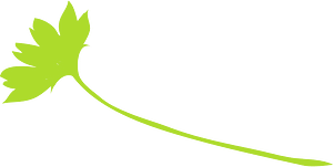 꽃