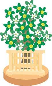 Цветы