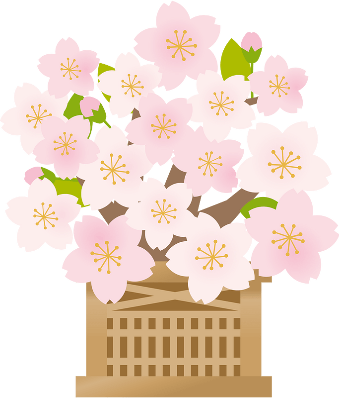 Цветы