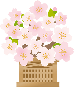 花卉