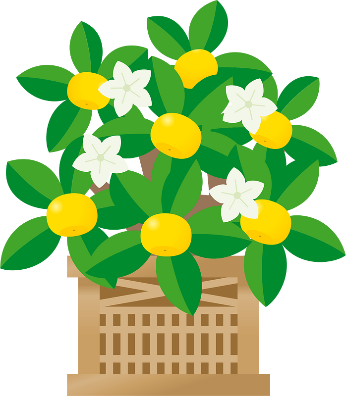 花卉