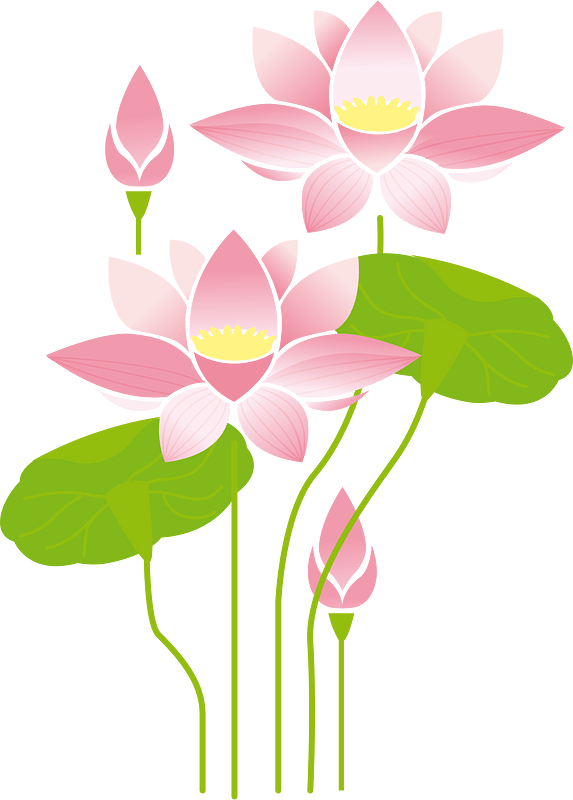 꽃들