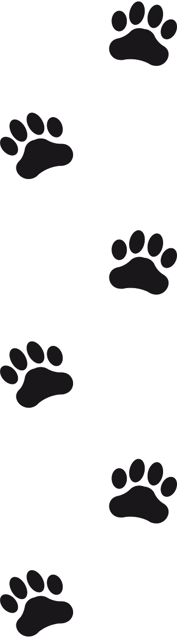 Footprints animal