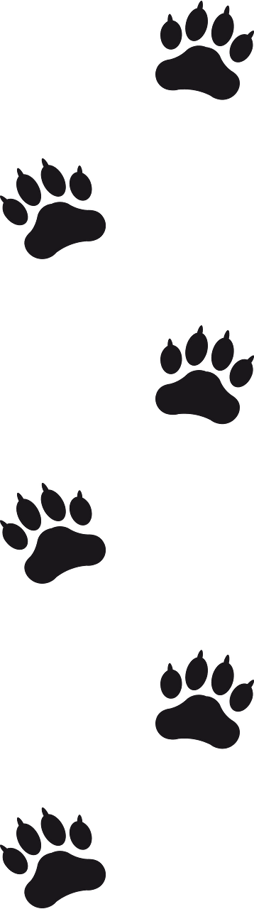 Animal Footprints