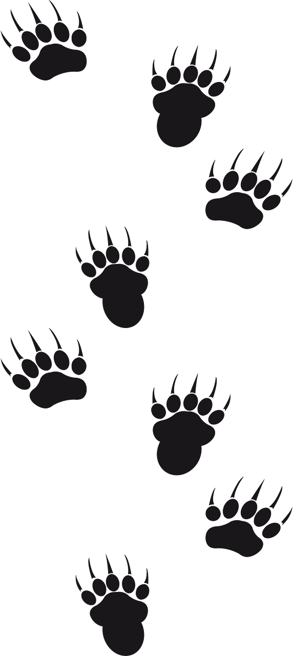 Footprints animal