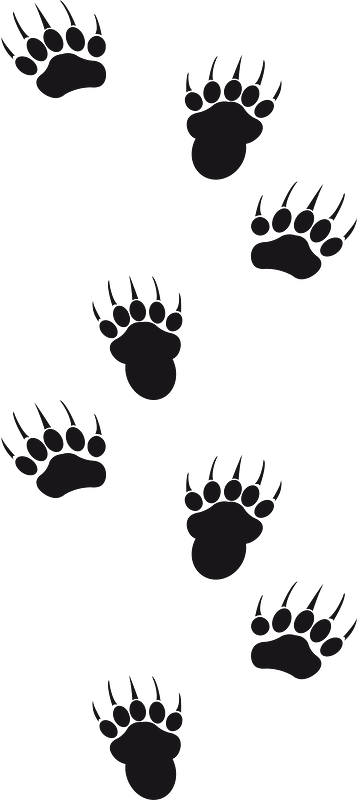 Footprints animal