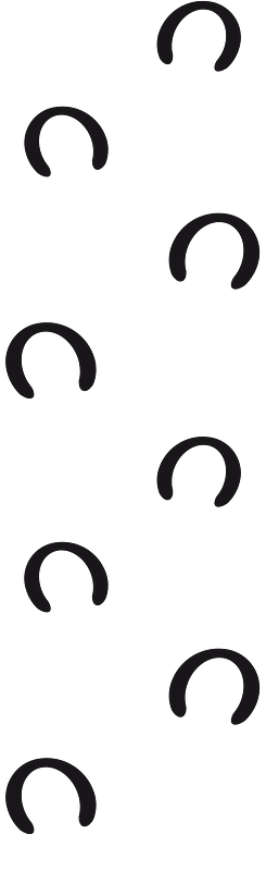 Footprints horse