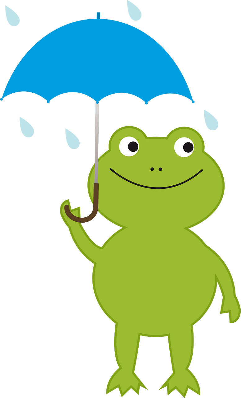 Frog with umbrella