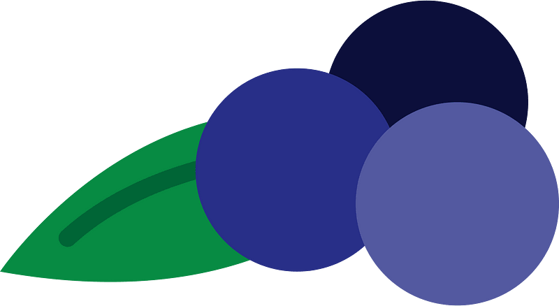 Fruits blueberries