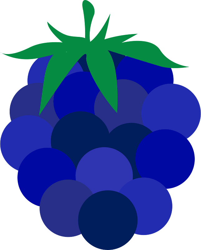 Fruits raspberry