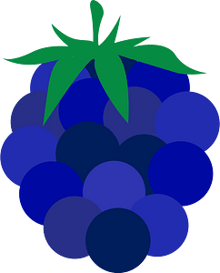 Fruits raspberry