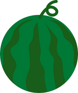 Fruits watermelon