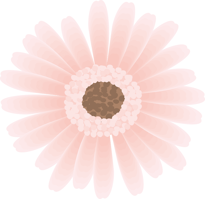 Gerbera flower