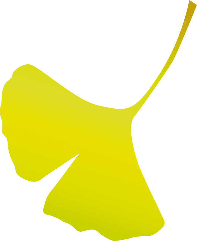 Ginkgo leaf