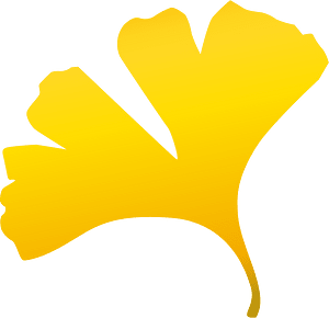 Ginkgo leaf
