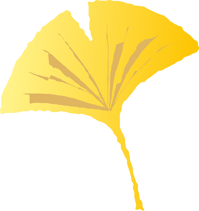 Foglia di ginkgo