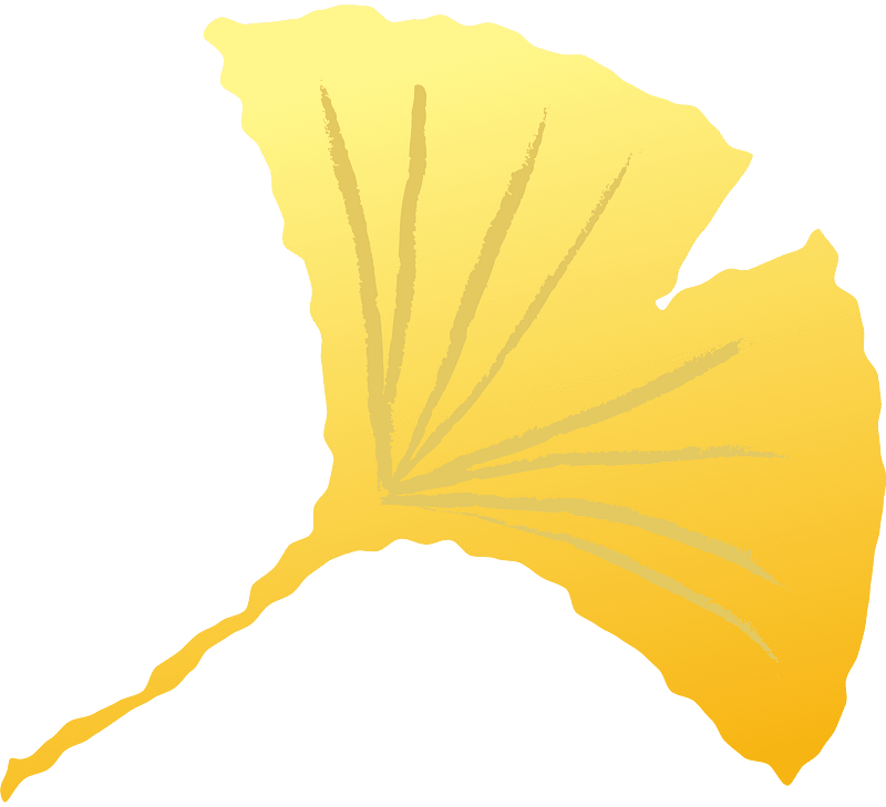 Ginkgo leaf