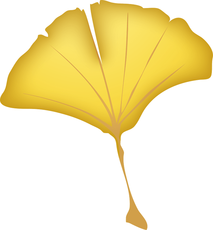 Ginkgo leaf