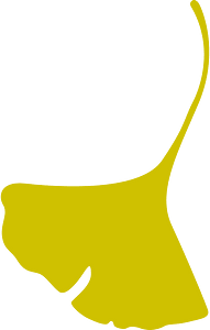 Ginkgo leaf