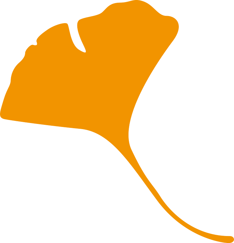 Ginkgo leaf