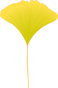 Ginkgo leaf