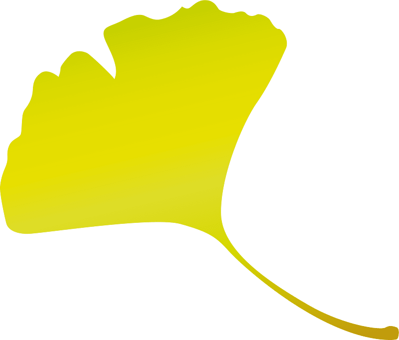 Ginkgo leaf