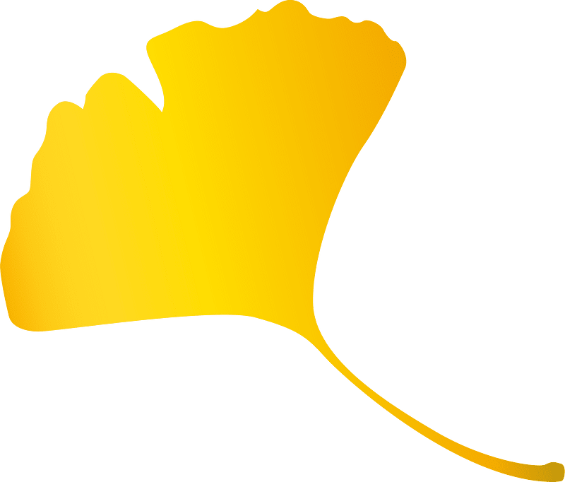 Feuille de ginkgo