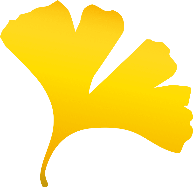 Ginkgo leaf