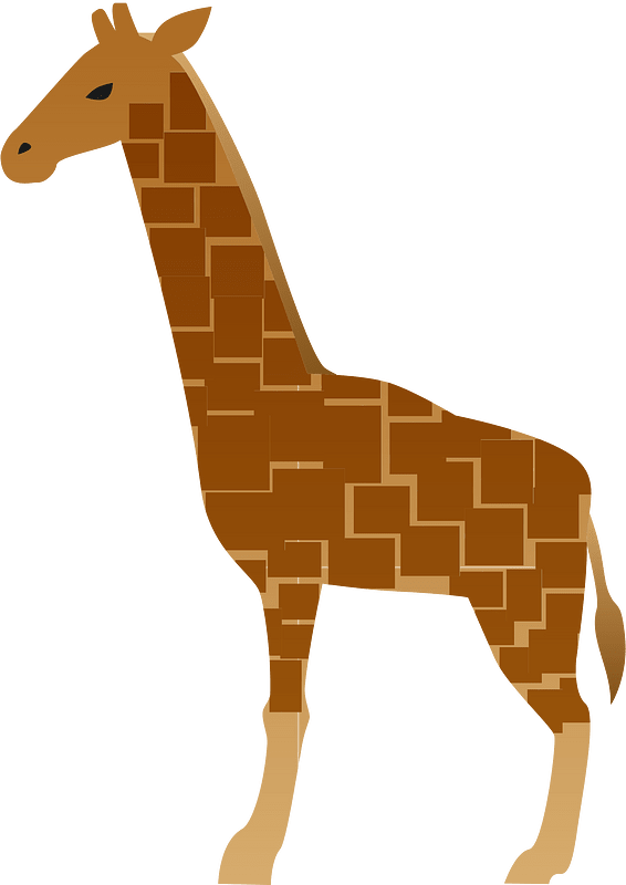 Giraffe animal