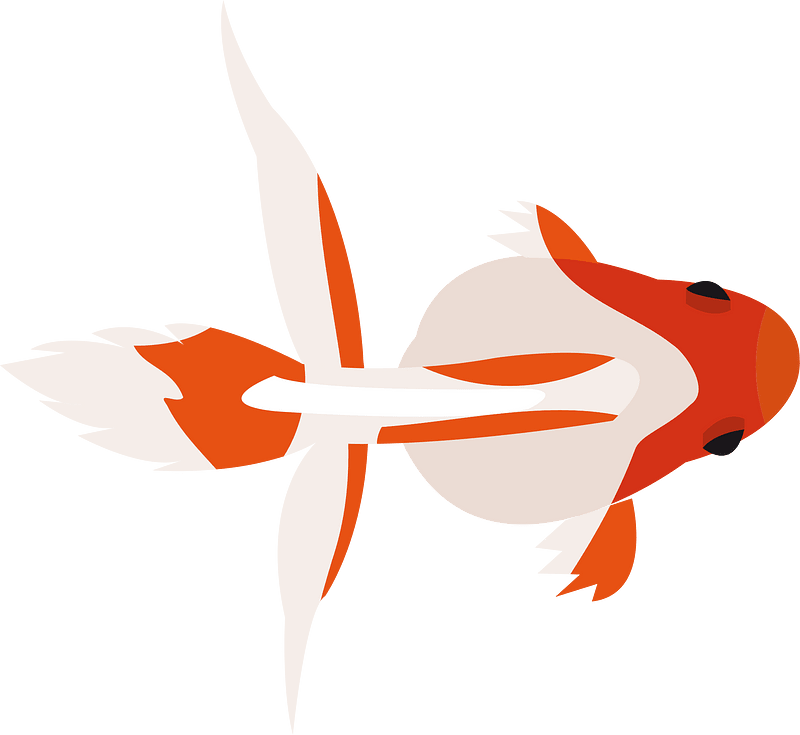 Goldfish fish