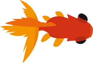 Goldfish fish