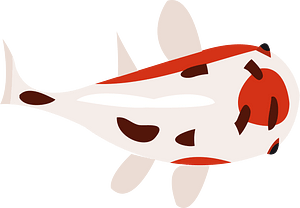 Goldfish fish