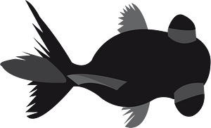 Goldfish fish