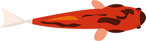 Goldfish fish
