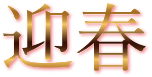 Happy new year