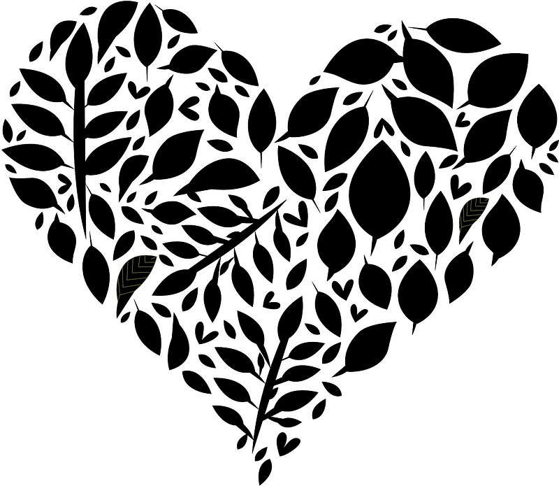 Heart leaves