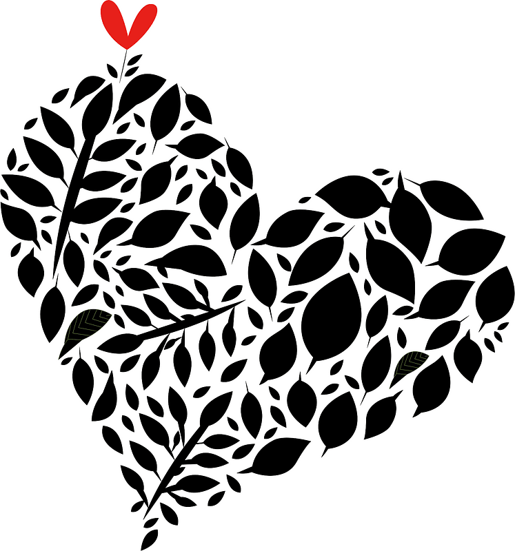 Heart leaves