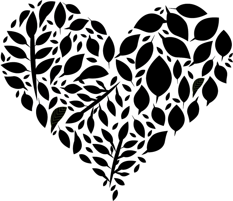 Heart leaves