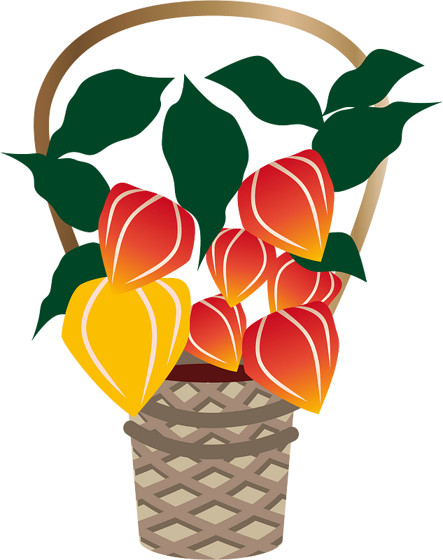 Chinese lantern plant