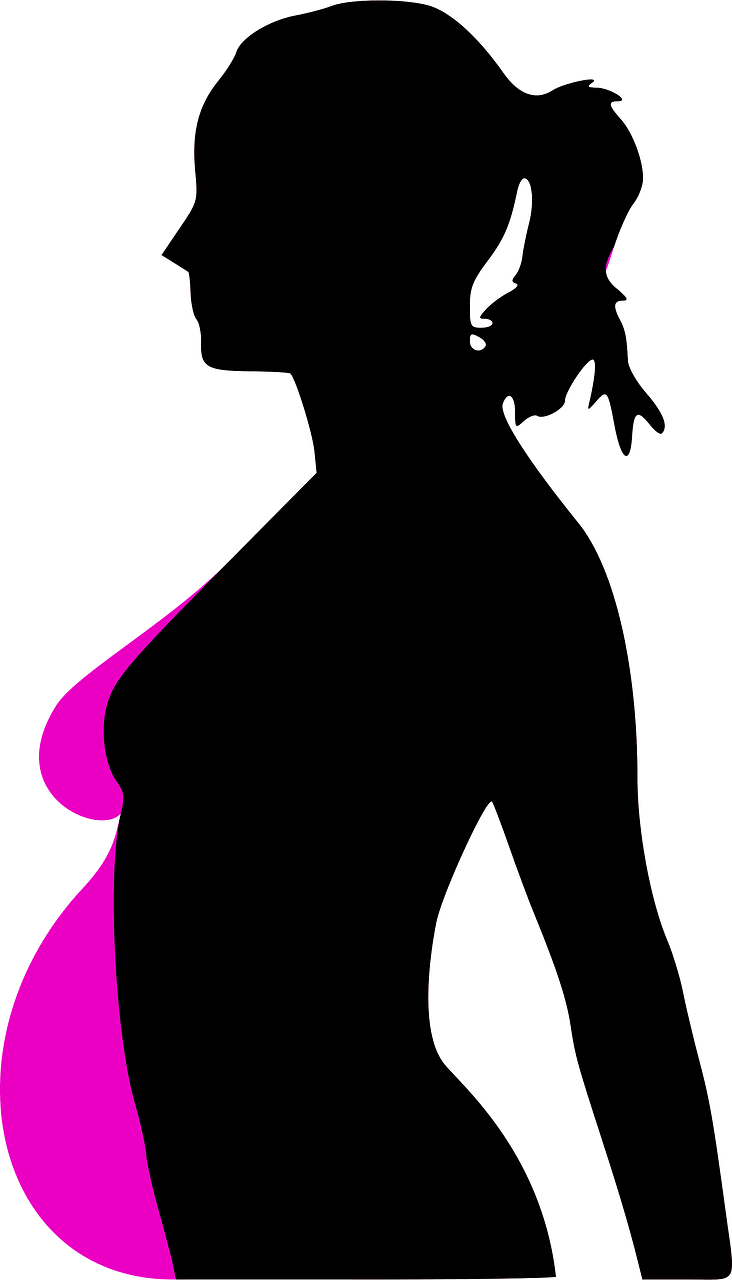 Pregnancy Silhouet