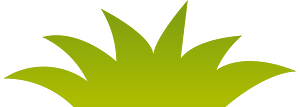 Grass