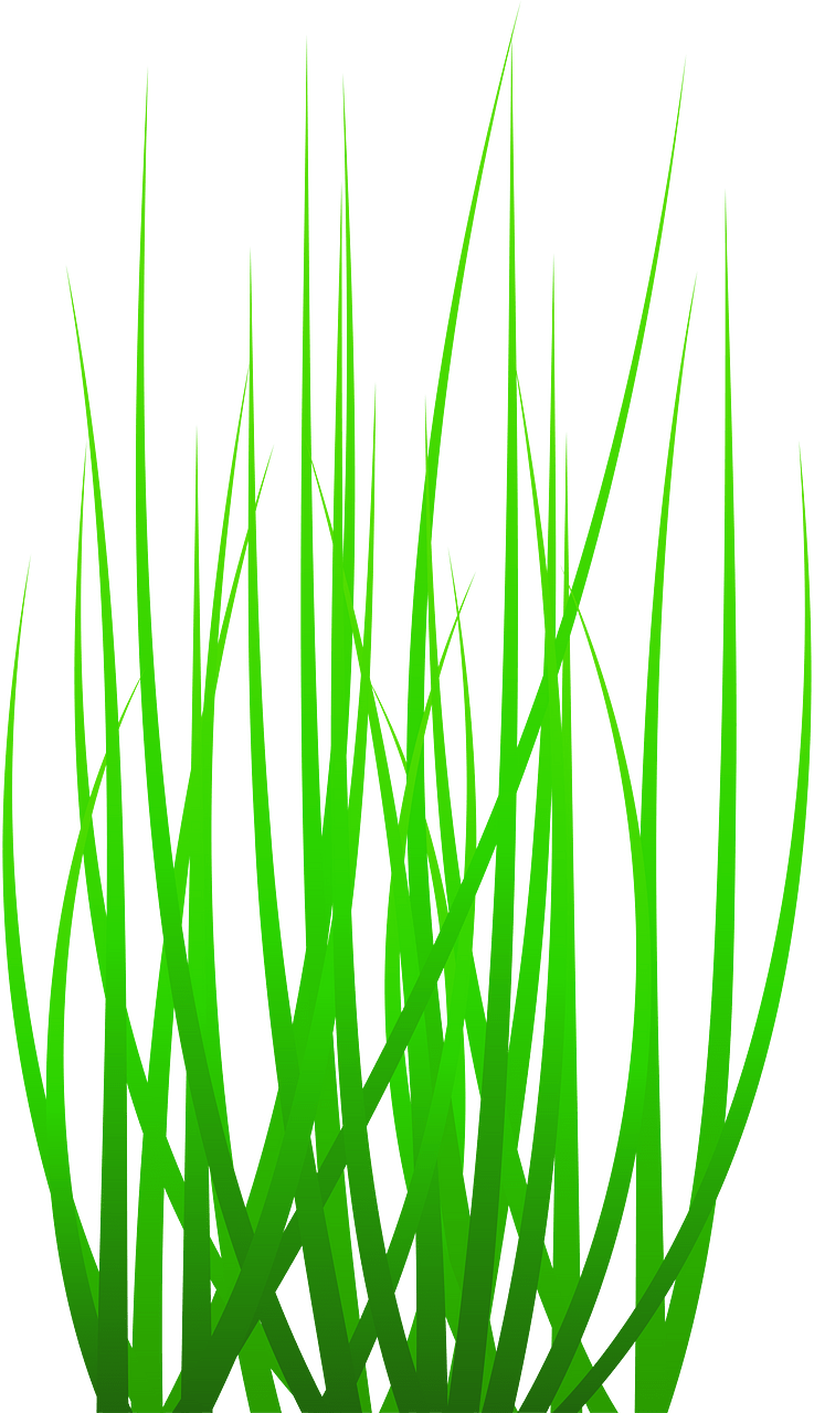 Green grass
