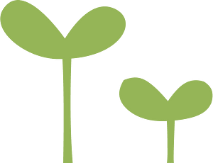 Green leafs