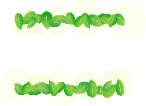 Green leaves frame