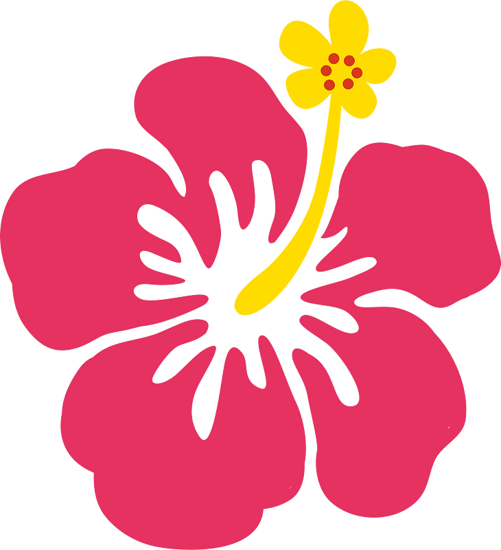 Hibiscus flower