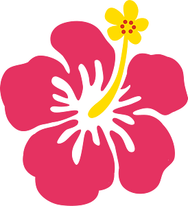 Hibiscus flower