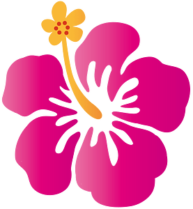 Hibiscus flower
