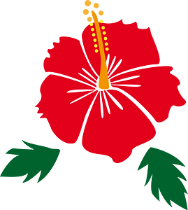 Hibiscus flower